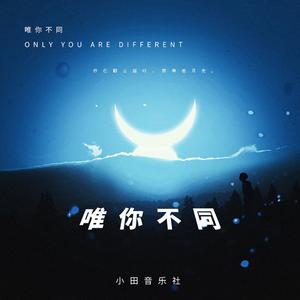 《大梦花都》小说
