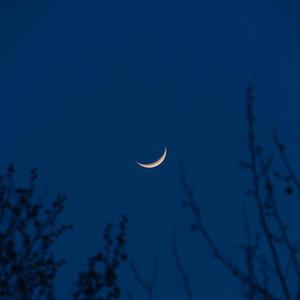 《大梦花都》小说
